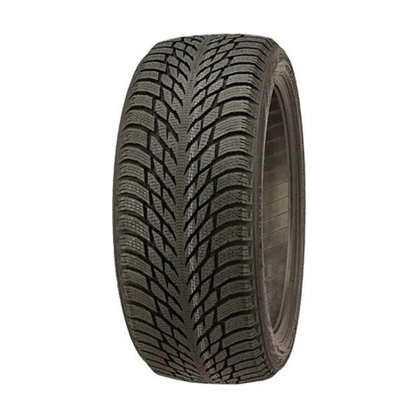 шины IKON Tyres AUTOGRAPH SNOW C3 225/65 R16C